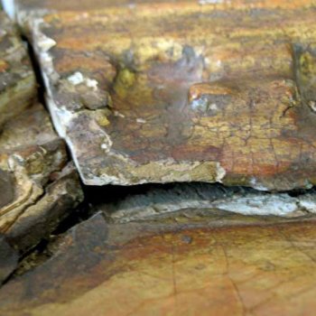 Décollement de la moulure en bois dorée